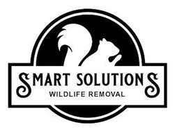 SMART SOLUTIONS WILDLIFE REMOVAL