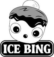 ICE BING