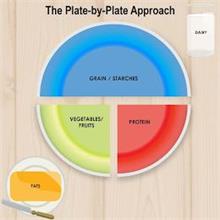 THE PLATE-BY-PLATE APPROACH DAIRY GRAIN/ STARCHES VEGETABLES /FRUITS PROTEIN FATS