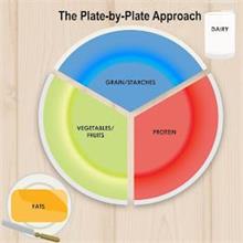 THE PLATE-BY-PLATE APPROACH DAIRY GRAIN / STARCHES VEGETABLES /FRUITS PROTEIN FATS