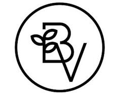 B V