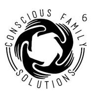 CONSCIOUS FAMILY SOLUTIONS