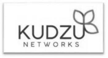 KUDZU NETWORKS