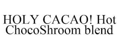HOLY CACAO! HOT CHOCOSHROOM BLEND