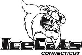 ICECATS CONNECTICUT