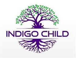 INDIGO CHILD