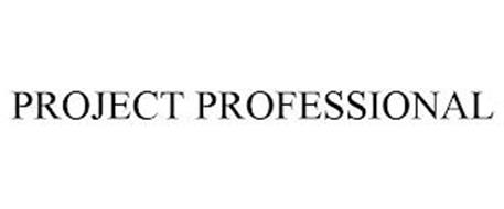 PROJECT PROFESSIONAL