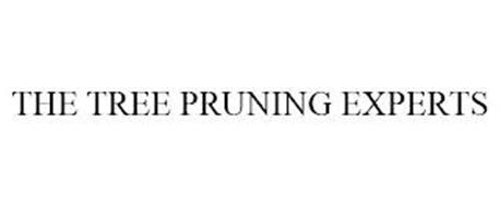 THE TREE PRUNING EXPERTS