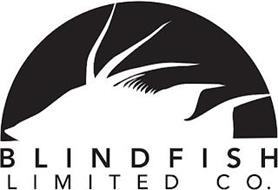 BLINDFISH LIMITED CO.