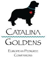 CATALINA GOLDENS EUROPEAN PEDIGREE COMPANIONS