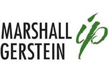 MARSHALL GERSTEIN IP