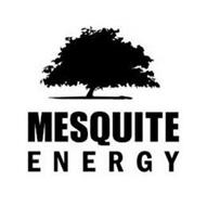 MESQUITE ENERGY