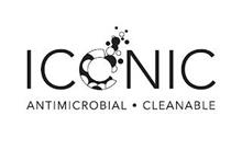 ICONIC ANTIMICROBIAL CLEANABLE