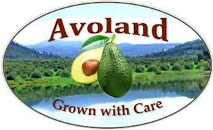 AVOLAND GROWN WITH CARE