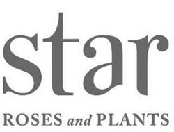 STAR ROSES AND PLANTS