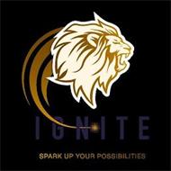 IGNITE SPARK UP YOUR POSSIBILITIES