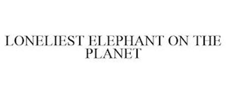 LONELIEST ELEPHANT ON THE PLANET