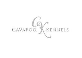 CAVAPOO CK KENNELS