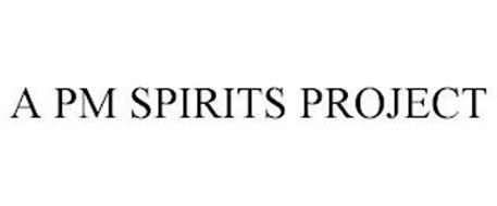A PM SPIRITS PROJECT