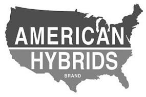 AMERICAN HYBRIDS BRAND