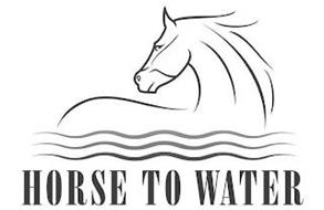 HORSE TO WATER