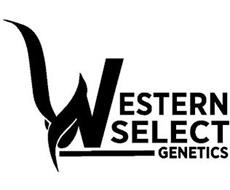 WESTERN SELECT GENETICS