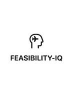 FEASIBILITY-IQ
