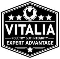 VITALIA POULTRY GUT INTEGRITY EXPERT ADVANTAGE