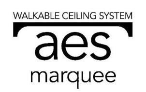AES MARQUEE WALKABLE CEILING SYSTEM