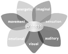 WITNESS IMAGINAL SENSATION AUDITORY VISUAL EMOTIONAL MOVEMENT ENERGETIC