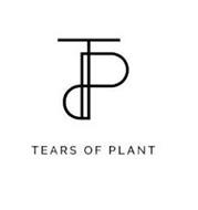 TOP TEARS OF PLANT