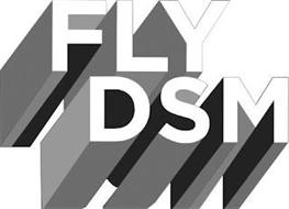 FLY DSM