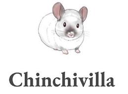 CHINCHIVILLA