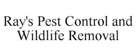 RAY'S PEST CONTROL AND WILDLIFE REMOVAL