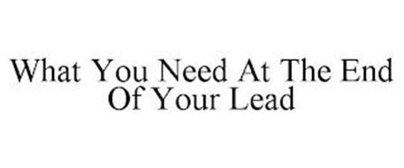WHAT YOU NEED AT THE END OF YOUR LEAD