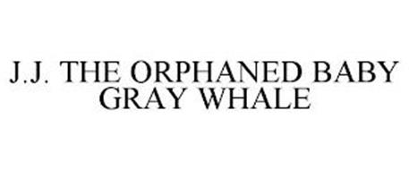 J.J. THE ORPHANED BABY GRAY WHALE