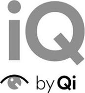 IQ IQ BY QI