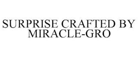 SURPRISE CRAFTED BY MIRACLE-GRO