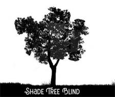 SHADE TREE BLIND