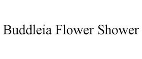 BUDDLEIA FLOWER SHOWER