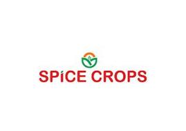 SPICE CROPS