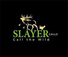 SLAYER CALLS CALL THE WILD