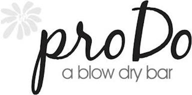 PRO DO A BLOW DRY BAR