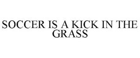 SOCCER IS A KICK IN THE GRASS