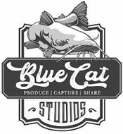 BLUE CAT PRODUCE CAPTURE SHARE STUDIOS
