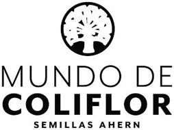 MUNDO DE COLIFLOR SEMILLAS AHERN