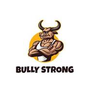 BULLY STRONG