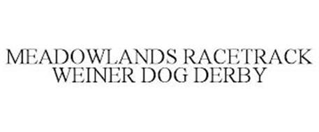 MEADOWLANDS RACETRACK WEINER DOG DERBY