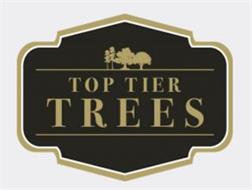 TOP TIER TREES