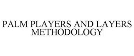 PALM ¿ PLAYERS AND LAYERS METHODOLOGY
